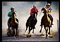 Picture Title - Palio