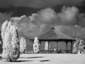 Picture Title - Picnic in the Park