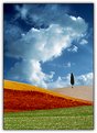 Picture Title - Tribute to Franco Fontana