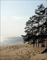 Picture Title - Sea & pines