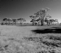 Picture Title - View from Truganina Cemetery