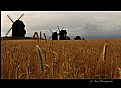 Picture Title - windmills # 4