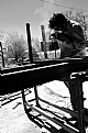 Picture Title - working hard_2