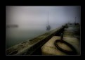 Picture Title - The Fog