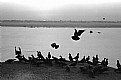 Picture Title - MORNING AT VARANASI