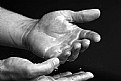 Picture Title - A Mans Hands