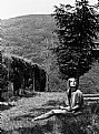 Picture Title - Ewe