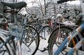 Picture Title - Bicycles, Bicycles