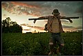 Picture Title - ..scarecrow..