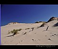 Picture Title - dunes # 5