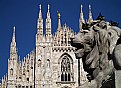Picture Title - milan