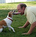 Picture Title - Tug-of-war