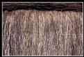 Picture Title - thatch fence
