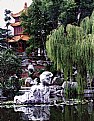 Picture Title - CHINESE Garden in CBD Sydney