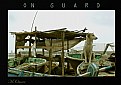 Picture Title - On guard