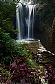 Picture Title - Water Fall