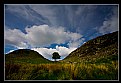 Picture Title - Sycamore Gap