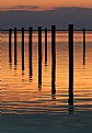 Picture Title - Pier Poles on the Sound