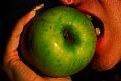 Picture Title - apple