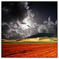 Picture Title - Tribute to Franco Fontana II