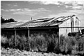 Picture Title - Utah, Antelope Island