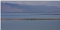 Picture Title - Utah, Antelope Island