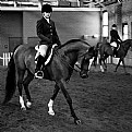 Picture Title - horsewoman