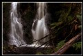 Picture Title - Hogarth Falls Tasmania