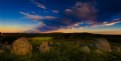 Picture Title - Canola Rocks