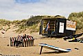 Picture Title - Sleeping on the beach