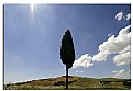 Picture Title - Tuscany