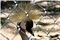 Picture Title - Utah, liberty Park Aviary