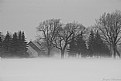 Picture Title - moddy winter