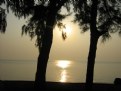 Picture Title - Some Sun Shades