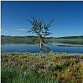 Picture Title - Utah, Strawberry Lake