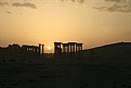 Picture Title - PALMYRA, Syria.