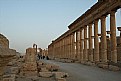 Picture Title - PALMYRA , Syria