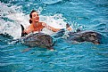 Picture Title - Playing with Dolphins