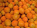 Picture Title - Oranges
