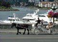 Picture Title - Harbour Scene