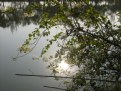 Picture Title - Reflection is good
