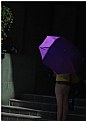 Picture Title - Purple Umbrella
