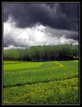 Picture Title - Before The Rain
