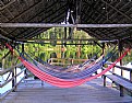 Picture Title - Hammocks Waiting