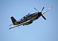 Picture Title - P-51 Trainer in Flight