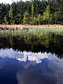 Picture Title - reflections