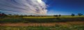 Picture Title - Canola Country