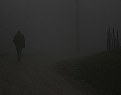 Picture Title - alone in the mist