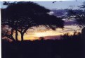 Picture Title - Dream sunset