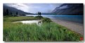 Picture Title - Bow Lake Morning